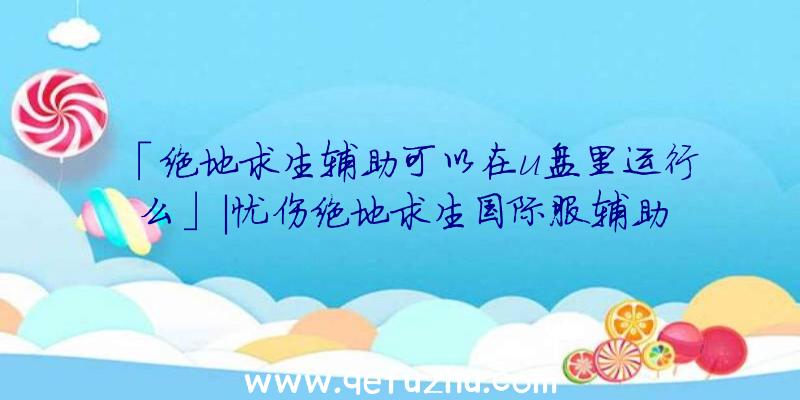 「绝地求生辅助可以在u盘里运行么」|忧伤绝地求生国际服辅助